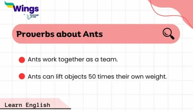 Proverbs about Ants