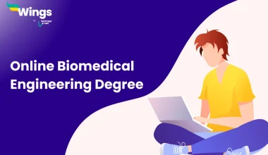 online biomedical engineering degree