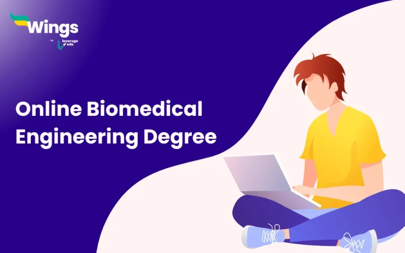 online biomedical engineering degree