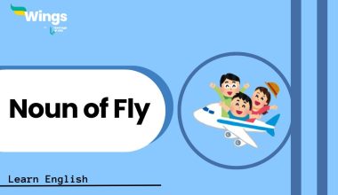 Noun-of-Fly