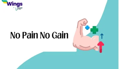 No Pain No Gain