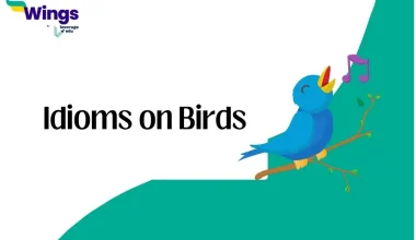 Idioms on Birds