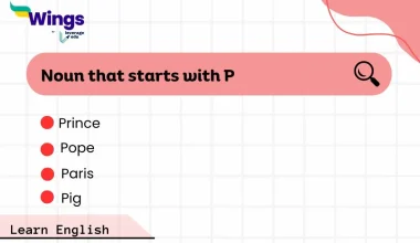 noun that starts with P
