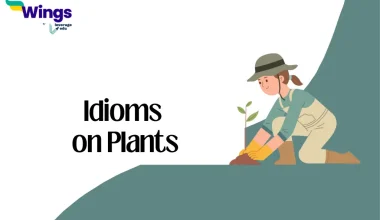 Idioms on Plants
