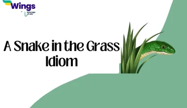 A snake in the grass Idiom