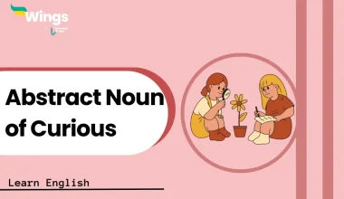 Abstract Noun of Curious