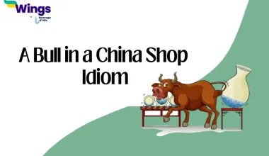 A Bull in a China Shop Idiom
