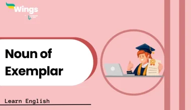 Noun of Exemplar