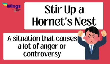 Stir Up a Hornet's Nest Idiom