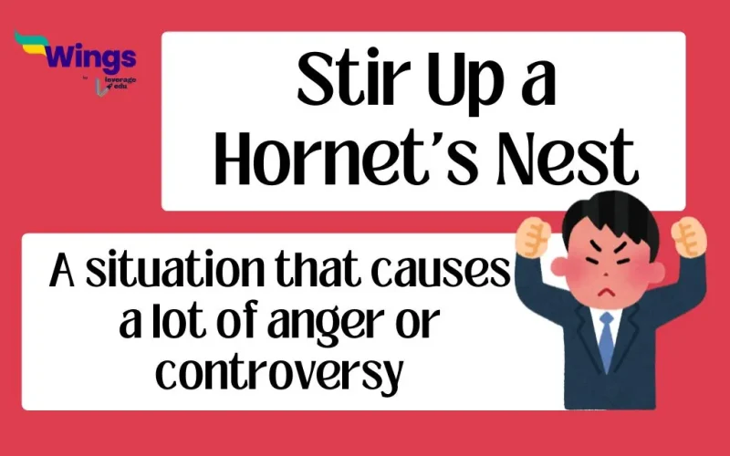 Stir Up a Hornet's Nest Idiom