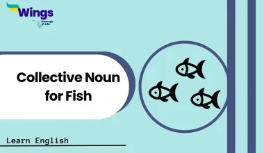 Collective Noun for Fish