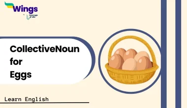 Collective Noun for Eggs
