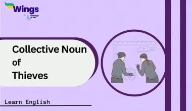 collective noun of thieves