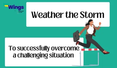 weather the storm idiom