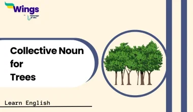 Collective Noun for Trees
