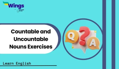 Countable and Uncountable Nouns Exercises