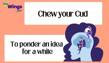 Chew your Cud Idiom