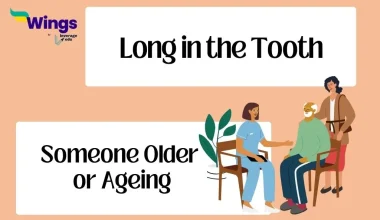 Long in the Tooth idiom