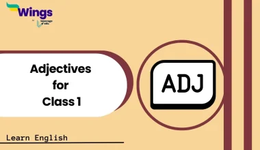 Adjectives for Class 1