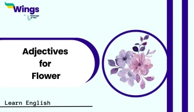 Adjective for Flower