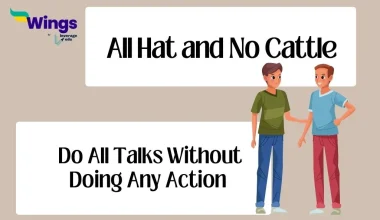 All Hat and No Cattle idiom