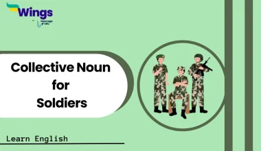 Collective Noun for Soldiers