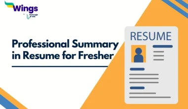 Professional Summary in Resume for Fresher