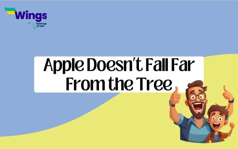 Apple Doesnt Fall Far From the Tree