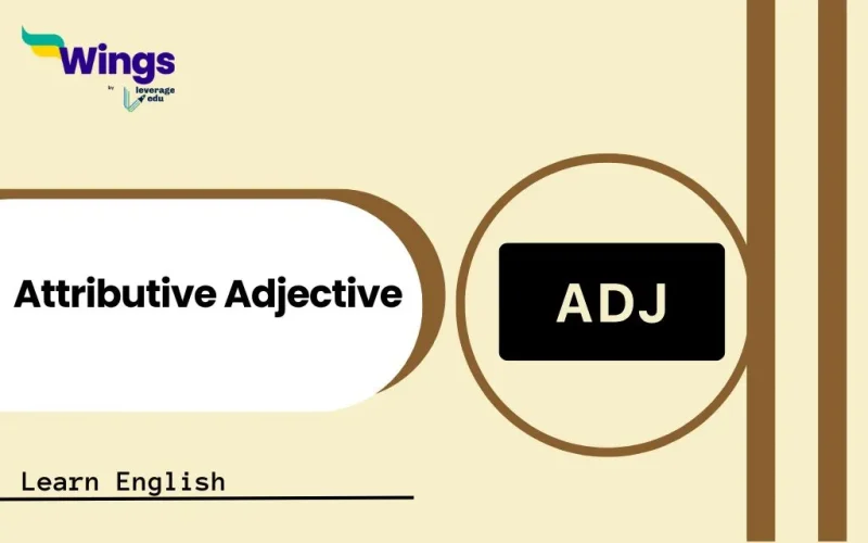 Attributive Adjective