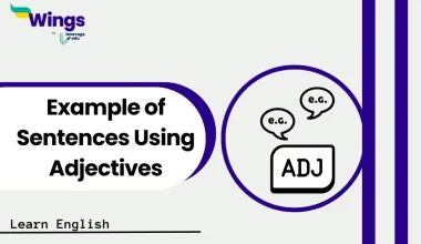 Example of sentences using adjectives