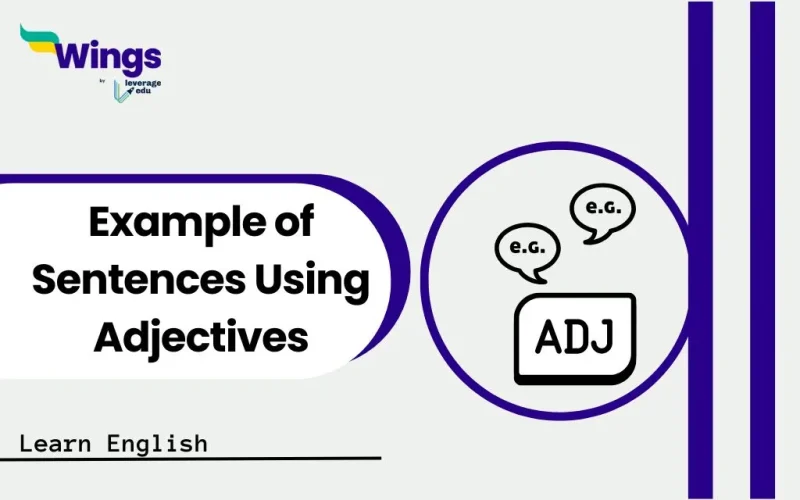 Example of sentences using adjectives