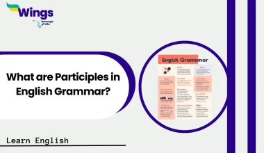 What are Participles in English Grammar?