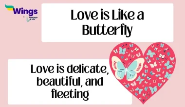 Love is like a Butterfly