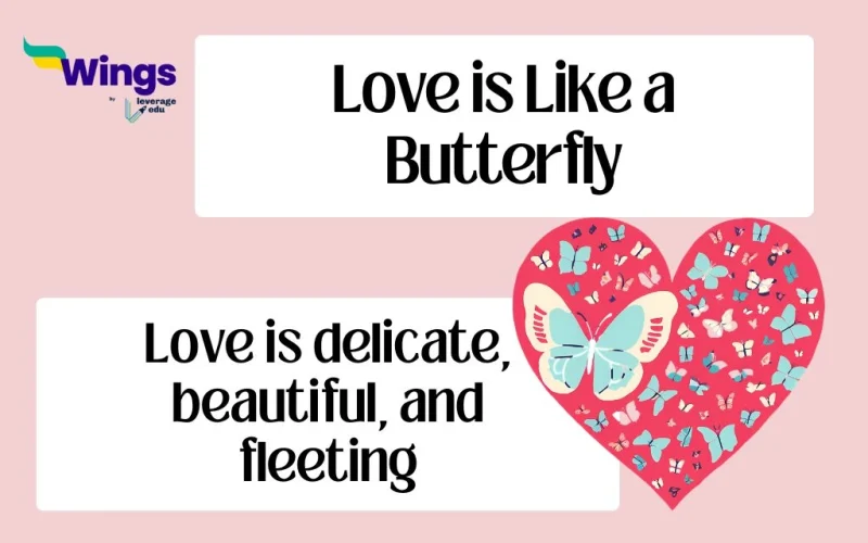 Love is like a Butterfly