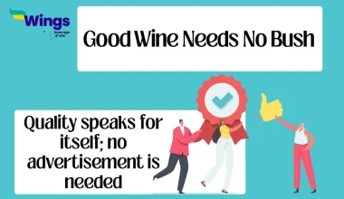 good wine needs no bush