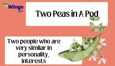 Two peas in a pod idiom meaning