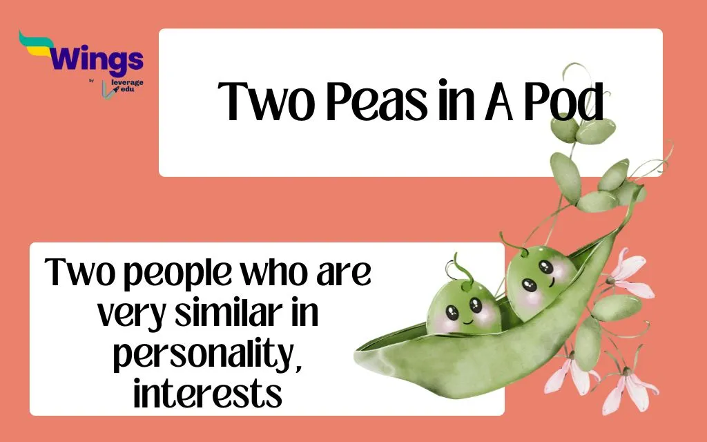 Two peas in a pod idiom meaning