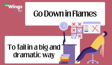 go down in flames meaning