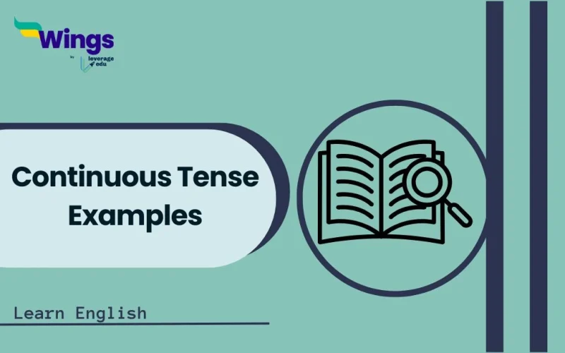 Continuous Tense Examples