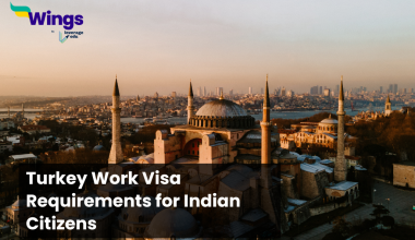 turkey work visa requirements for indian citizens