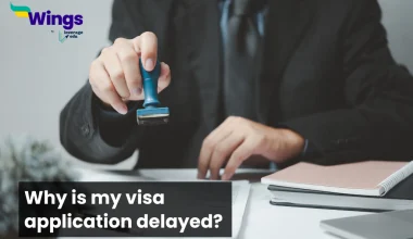 why is my visa application delayed