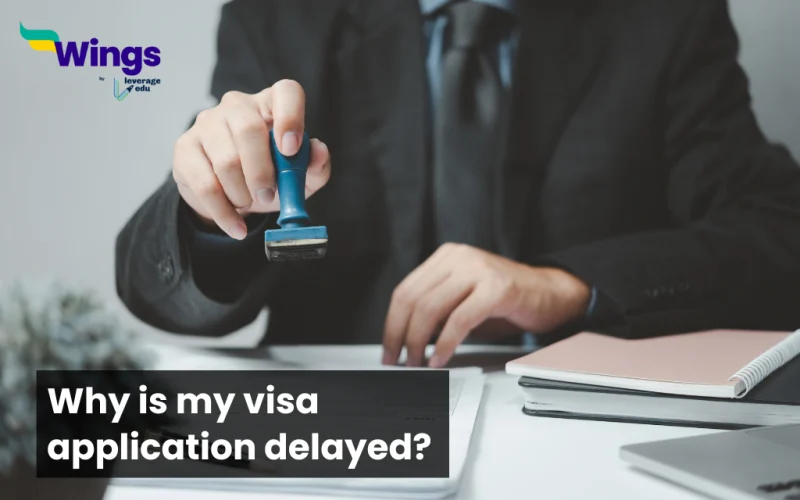 why is my visa application delayed