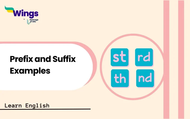 Prefix and Suffix Examples