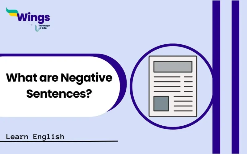 What are Negative Sentences