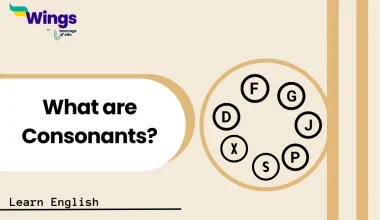 What are Consonants