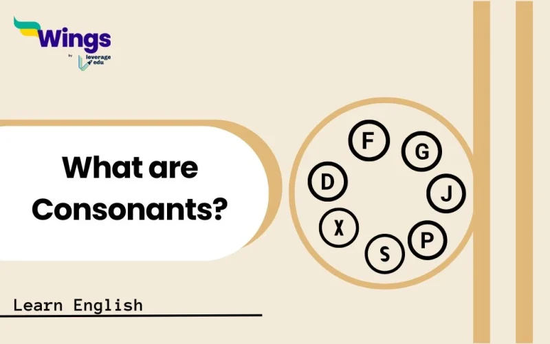 What are Consonants