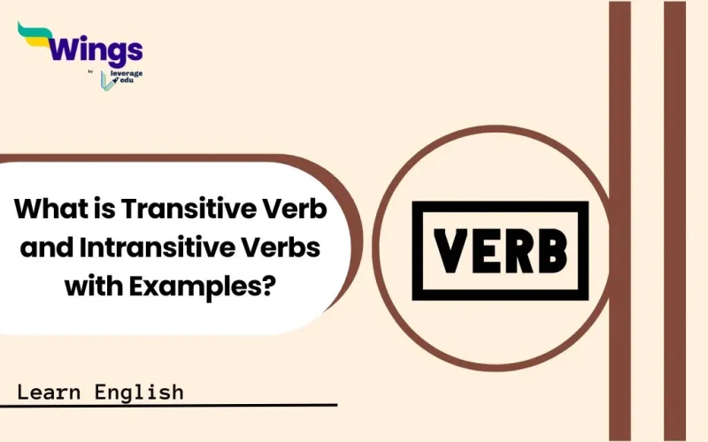 What is Transitive Verb and Intransitive Verbs with Examples