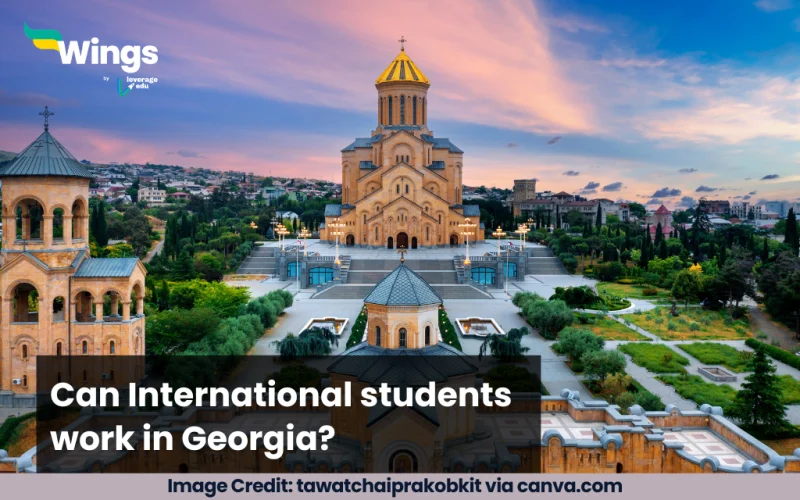 Can International students work in Georgia