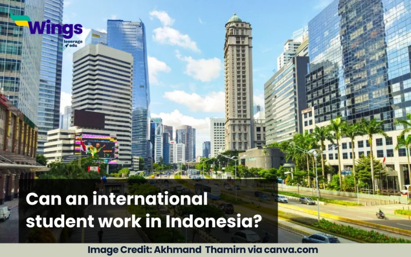 Can an international student work in Indonesia