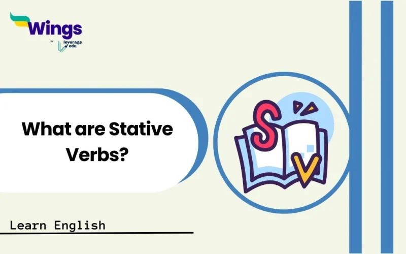 What are Stative Verbs